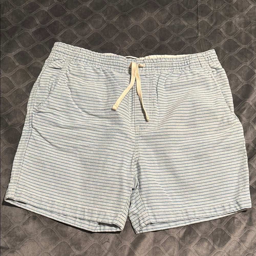 J. Crew Striped Light Blue Shorts with Drawstring